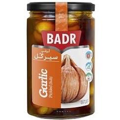سیرگل بدر
